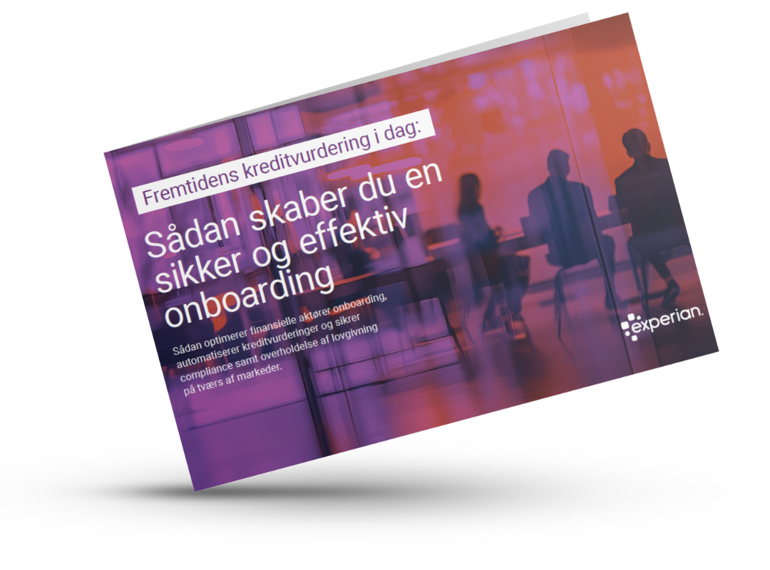 BusinessInsight Guide